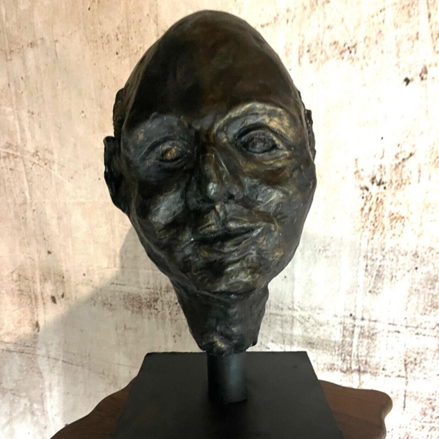 Studio Plaster Bronze Black Bust Sculpture